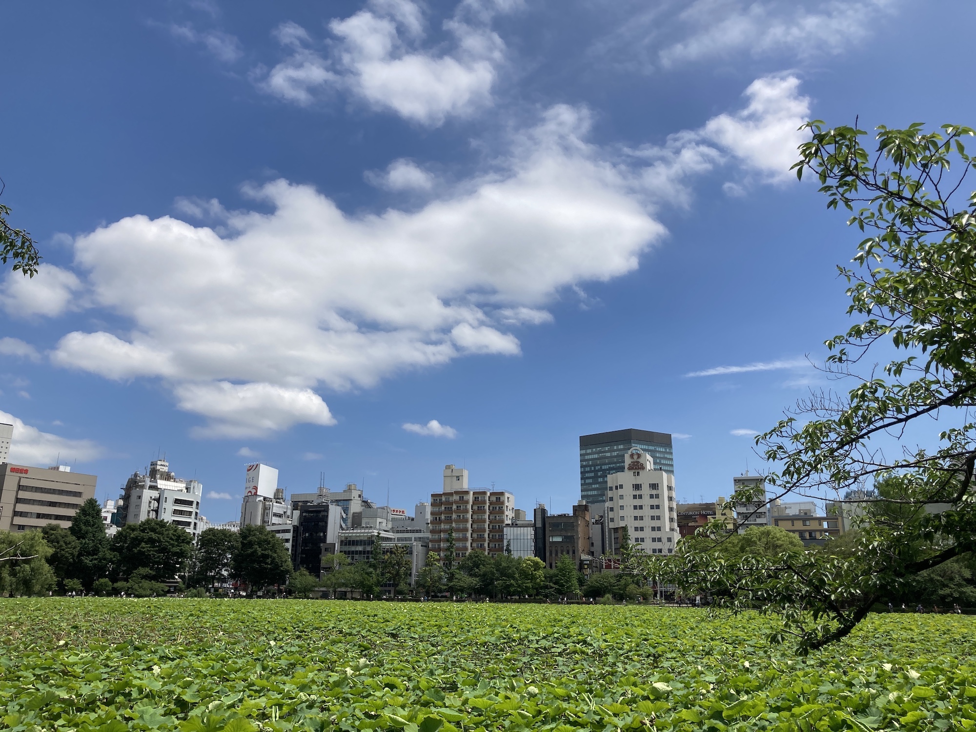 TIS北海道